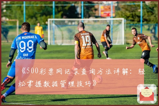 《500彩票网记录查询方法详解：轻松掌握数据管理技巧》