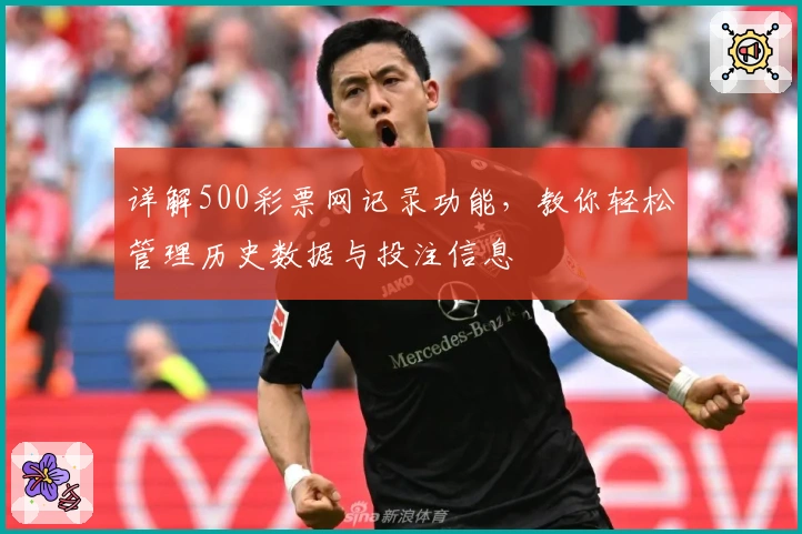 详解500彩票网记录功能，教你轻松管理历史数据与投注信息